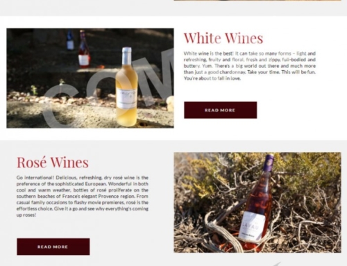 WineSoft World (Informative Website)