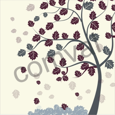 2. Wall design 4